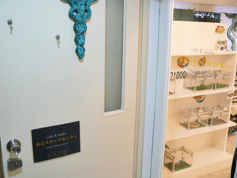 【体験取材】ヘビの癒し効果は絶大！　「東京スネークセンター」で非日常を体験♡#2