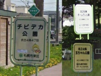 （C）Google