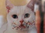 【「何を証拠に？」】人気の傑作ボケて１５選（3/18）