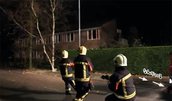 「おいらが力になるぜ！」消防隊が木の切断作業中、最高の助っ人が現る（犬）