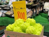 八百屋に並ぶキャベツの「ぬい」に大反響　売り場に佇む姿を撮りたくて...裏話まで「やさしいせかい」