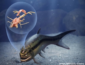 3億1900万年前の魚の化石から発見された世界最古の脊椎動物の脳