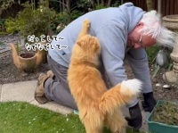 愛が溢れすぎ！おじいさんと猫の最強タッグ（こんな動画だけ見ていたい）