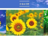 画像は「河北潟干拓土地改良区」サイトのひまわり村ページより