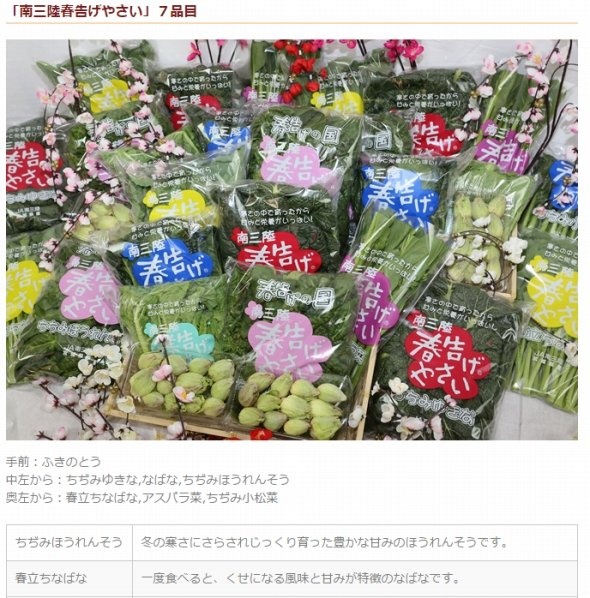 JA南三陸ウェブサイトより