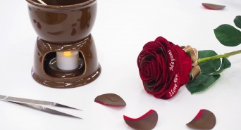 株式会社メリアルームのプレスリリース画像