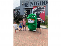 株式会社ニジゲンノモリのプレスリリース画像