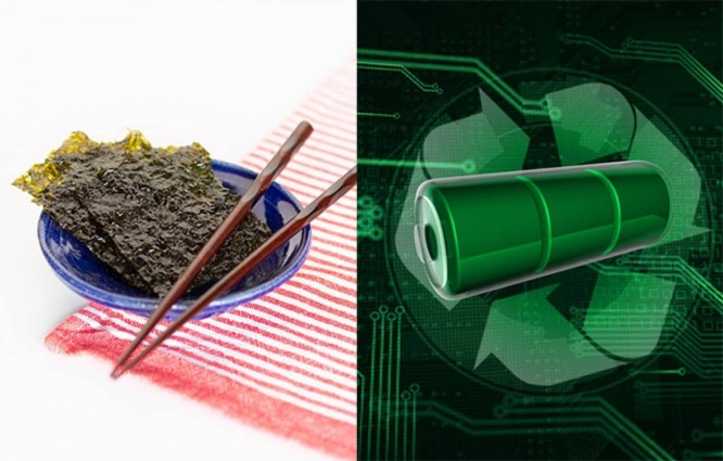 海苔とビタミンから食べられる電池が開発される。体調管理モニターや小型医療機器の動力に最適