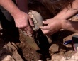 2500年前のイリュリア人のヘルメットがクロアチアで発掘される