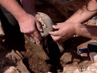 2500年前のイリュリア人のヘルメットがクロアチアで発掘される