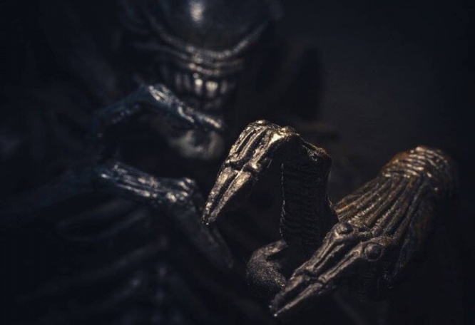 自己の意思とは無関係に手が勝手に動く。エイリアンハンド症候群の謎