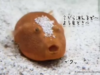 フグの隠れ身の術がかわいすぎた！砂に潜って目と口だけ出しスマイルマーク
