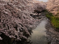 恩田川