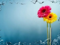 会社の人間関係を改善したい。ストレスフリーに働く方法