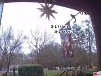 おれはやる、おれはやる。リスは玄関前の飾りを破壊して去っていきました