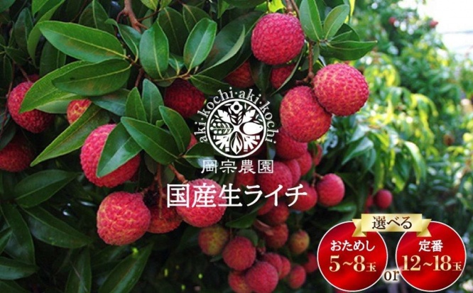 高知県 安芸市「生ライチ 5個～8個 12個～18個」8000円（ふるさとチョイスより）