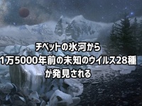チベット高原の氷河の中から1万5000年前の未知のウイルス28種が発見される