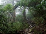 命懸けで時給は◯◯◯円！？　山奥に連れて行かれるヤバいバイトとは！？