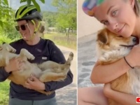 「そうだ、一緒に連れて帰ろう！」海外でサイクリング中、後をついて来る犬をペットとして迎え入れたサイクリスト