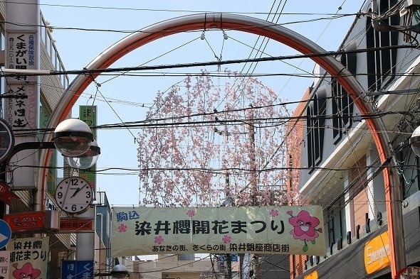 town20170406152429.jpg