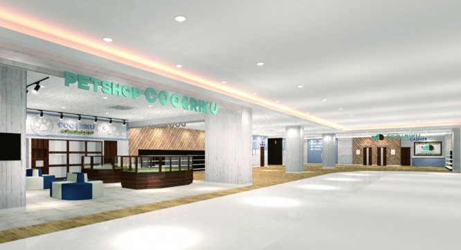 有限会社 Coo&amp;RIKUのプレスリリース画像