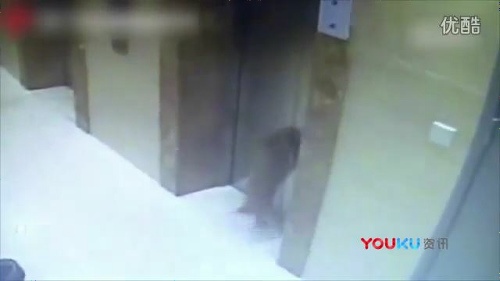 エレベーターに首吊り