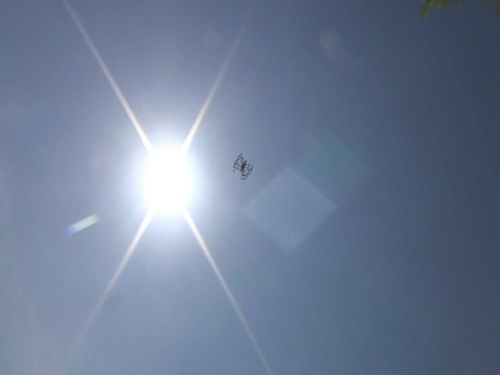 Bebop Drone