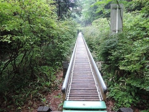 閉鎖中の木製ローラー滑り台（群馬県環境森林部緑化推進課県営林係提供）