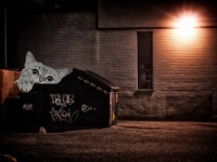 非番の警察官がゴミ箱で子猫を発見。初めてのペットとして家族に迎え入れる