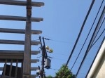 電線に引っかかったマイラーバルーンが想像以上の大爆発！