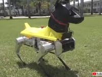 おすわりも伏せもできる！人命救助用犬型ロボット「アストロ（Astro）」の犬化がすごい！（アメリカ）