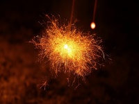 株式会社星野リゾートのプレスリリース画像