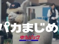 「パカまじめ。」篇