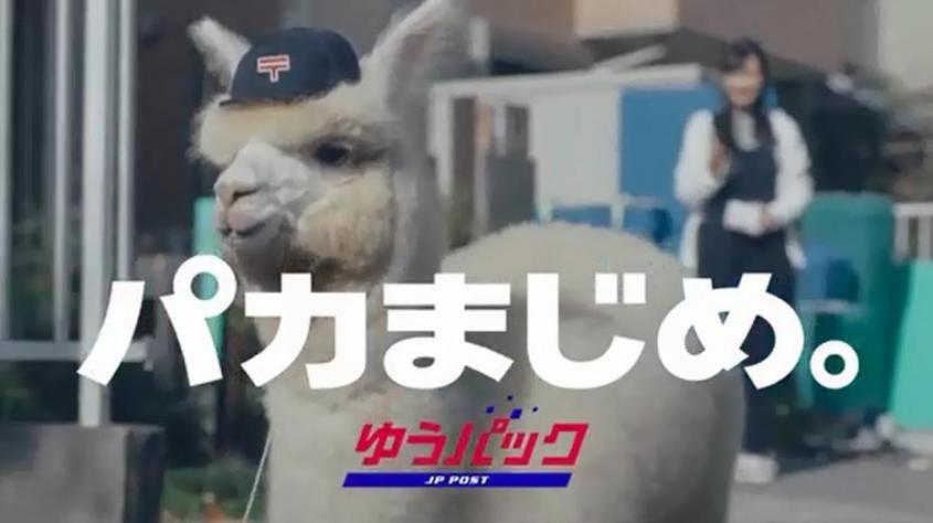 「パカまじめ。」篇