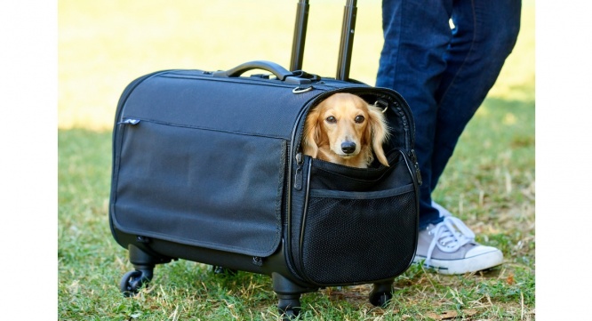 株式会社オーエフティーのプレスリリース画像