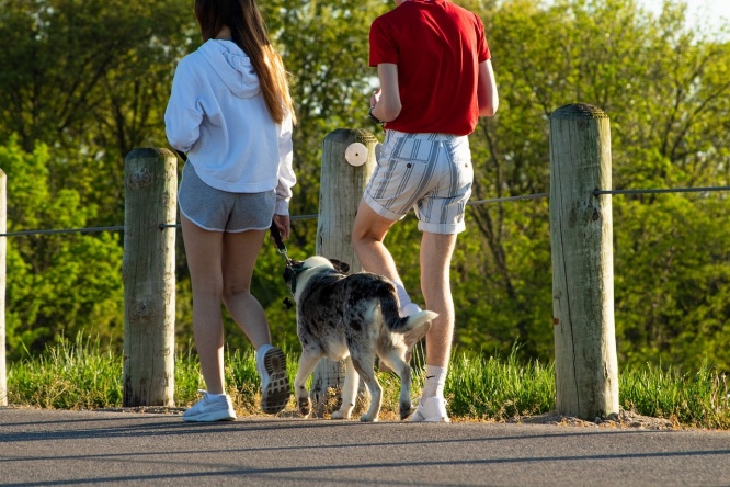 画像はイメージです