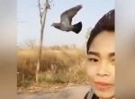 なんだかメルヘン！　バイクで走る女性の隣をハト並んで飛んでる！