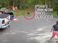 飼い主を守るため、クマの注意を自分にひきつけ、追いかけるように仕向けた犬