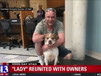 行方不明になっていた愛犬が地元ニュースで紹介される→2年半ぶりに飼い主の元に