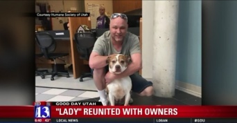 行方不明になっていた愛犬が地元ニュースで紹介される→2年半ぶりに飼い主の元に