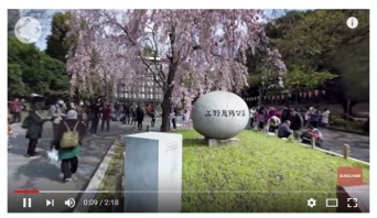 画像はウェザーニューズのホームページより。お花見VRの上野恩賜公園編をキャプチャ