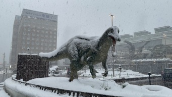 「隕石衝突後の世界」「リアルすぎる」　〝氷河期〟迎えた福井駅前で動くヤツらに9.3万人驚がく