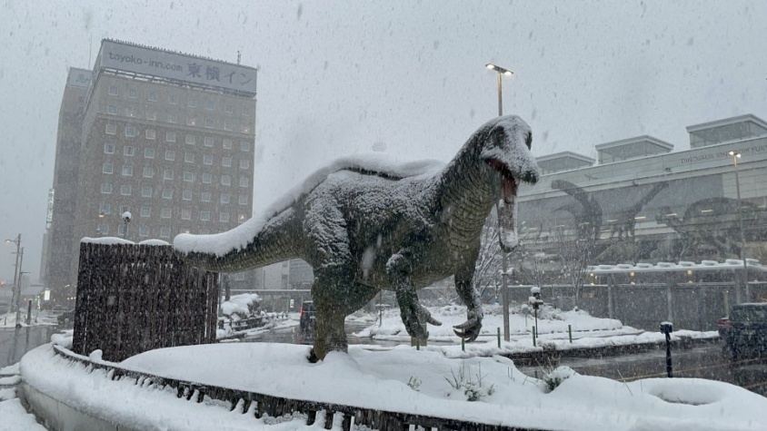 「隕石衝突後の世界」「リアルすぎる」　〝氷河期〟迎えた福井駅前で動くヤツらに9.3万人驚がく