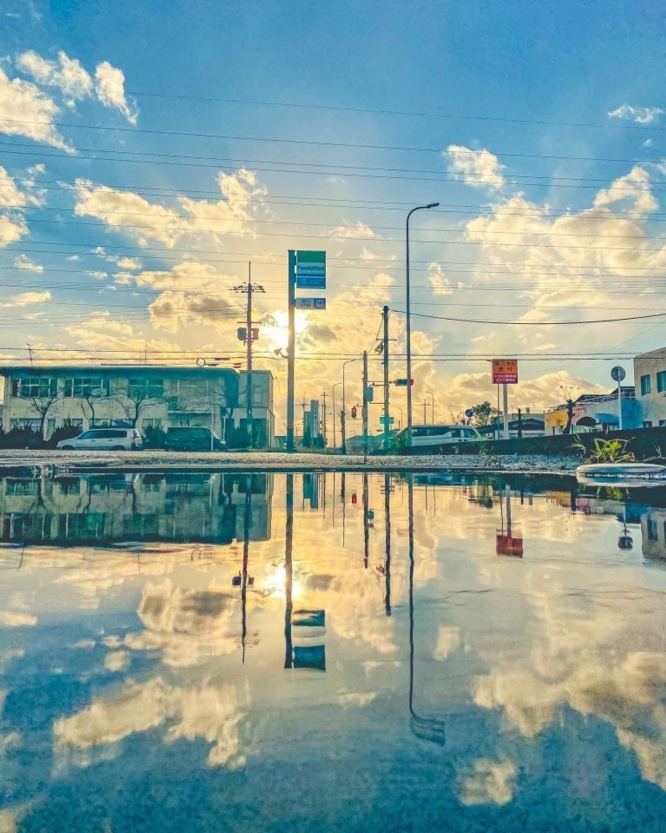 Shota(@shnimohus)さんのツイートより