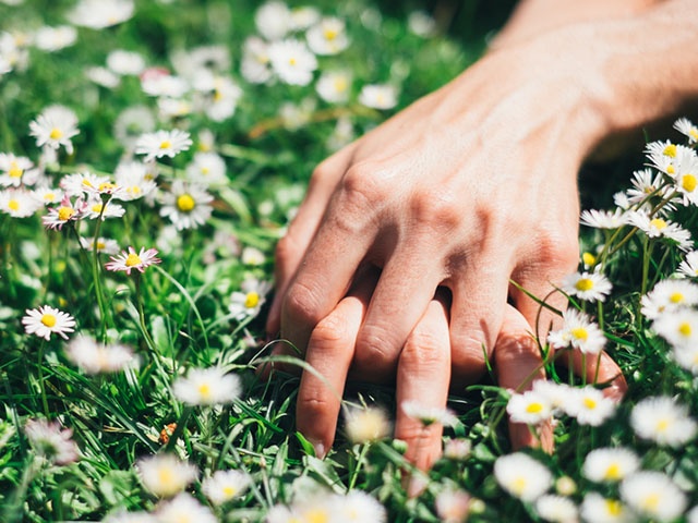 原っぱで繋ぐカップルの手