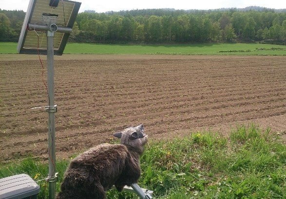 「スーパーモンスターウルフ」北海道美深町での設置例（画像提供：太田精器）