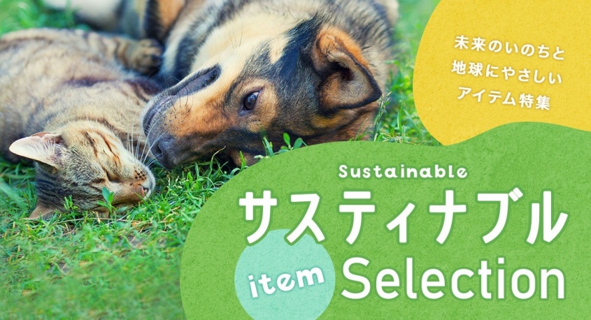 株式会社オーエフティーのプレスリリース画像