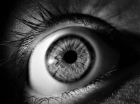 死んだはずの女性、葬儀場の遺体袋の中で生きていることが判明（アメリカ）