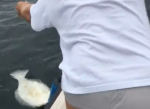 大きな魚が釣れたものの針が外れてしまった瞬間、男性が驚きの行動に・・・！