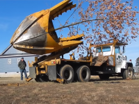 小学校時代に庭に埋めたどんぐりの実が大きく成長。念願叶って20年後、マイホームに移植した男性の物語